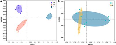 Plant Growth Promoting Rhizobacteria Alleviate Aluminum Toxicity and Ginger Bacterial Wilt in Acidic Continuous Cropping Soil